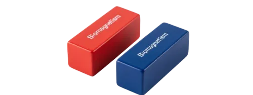 Sanación holística